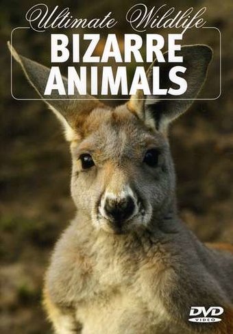 Ultimate Wildlife: Bizarre Animals