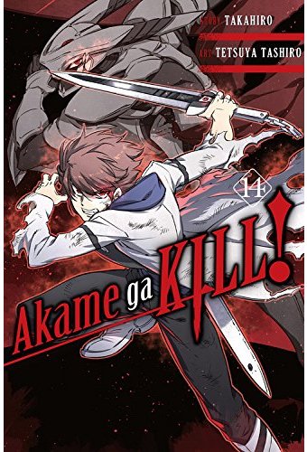 Akame Ga Kill! 14