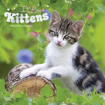 I Love Kittens (Foil) - 2019 - Wall Calendar