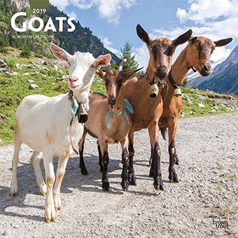 Goats - 2019 - Wall Calendar