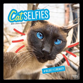 Cat Selfies - 2019 - Wall Calendar