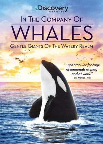 Discovery Channel - In the Company of Whales