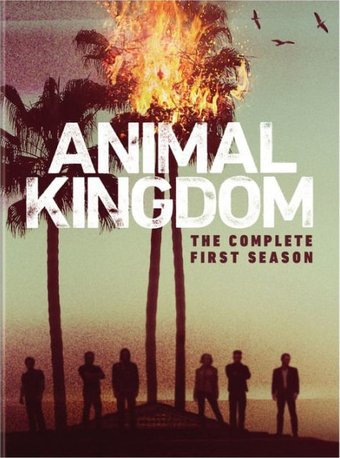 Animal Kingdom - Complete 1st Season (3-DVD)