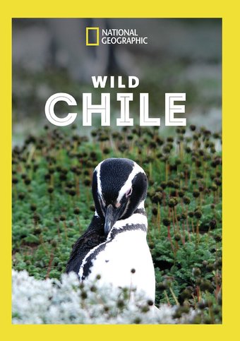 National Geographic - Wild Chile