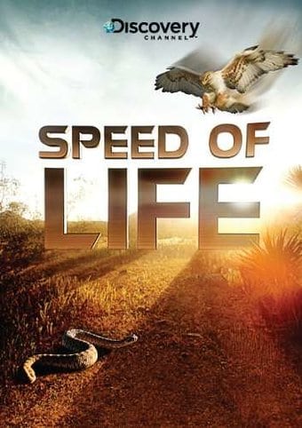 Discovery Channel - Speed of Life