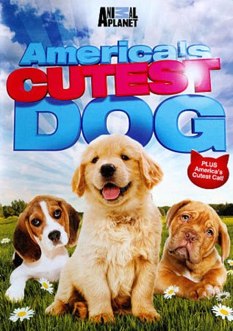 Animal Planet - America's Cutest Dog