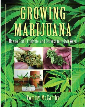 Growing Marijuana: How to Plant, Cultivate, and