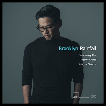 Brooklyn Rainfall