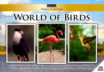 World Class Films: World of Birds