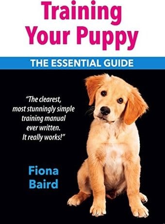 Training Your Puppy: The Essential Guide