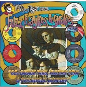 Fuzz, Flaykes & Shakes (7-CD)