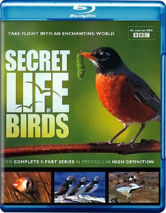 The Secret Life of Birds (Blu-ray)