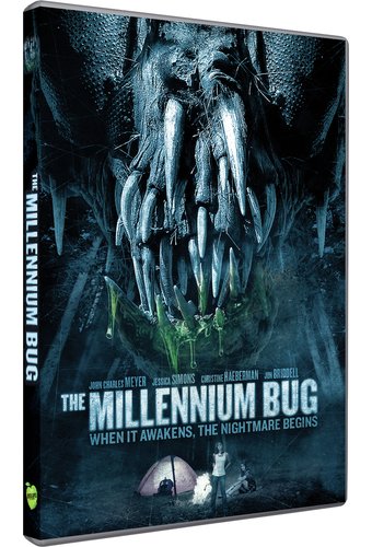 The Millennium Bug