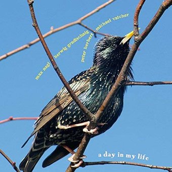 Day In My Life [import]