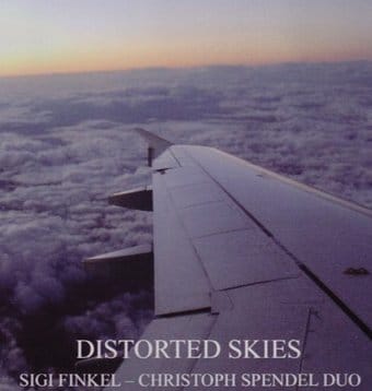Distorted Skies