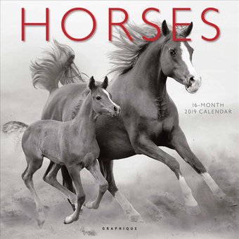 Horses - 2019 - Wall Calendar