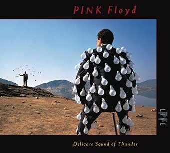 Delicate Sound of Thunder (Live) (2-CD)