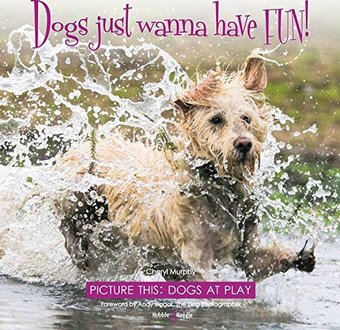 Dogs Just Wanna Have Fun!: Picture This: Dogs at
