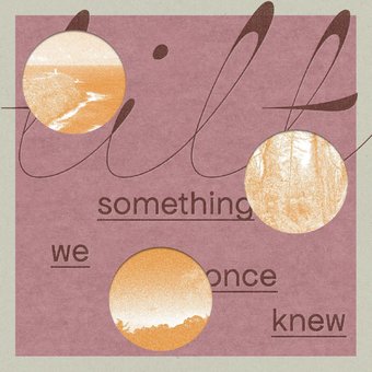 Something We Once Knew (Dlcd)