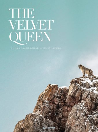 Velvet Queen