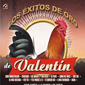 Los Exitos De Oro De Valentin (3-CD)