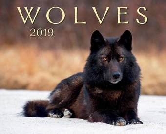 Wolves - 2019 - Wall Calendar