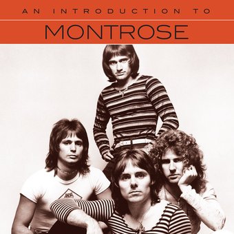An Introduction to Montrose