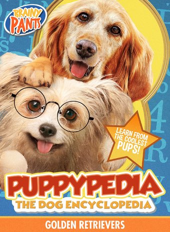 Puppy-Pedia The Dog Encyclopedia: Golden Retriever