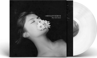 Chrysanthemum - Solid White (Colv) (Wht)