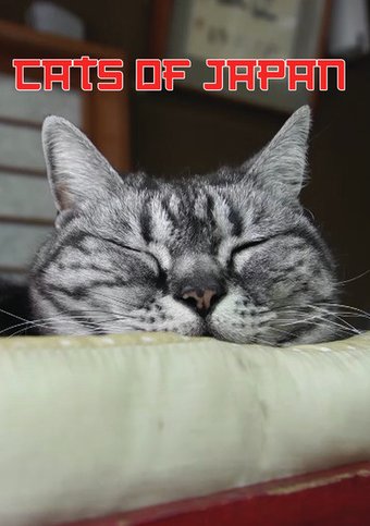 Cats of Japan