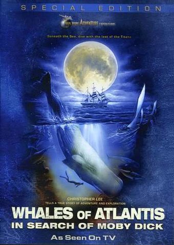 Jules Verne Adventure Expeditions - Whales of