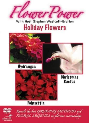 Flower Power:Holiday Flowers