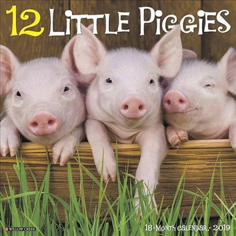 12 Little Piggies - 2019 - Wall Calendar