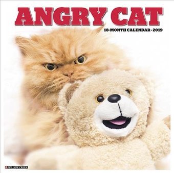 Angry Cat - 2019 - Wall Calendar