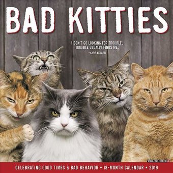Bad Kitties - 2019 - Wall Calendar
