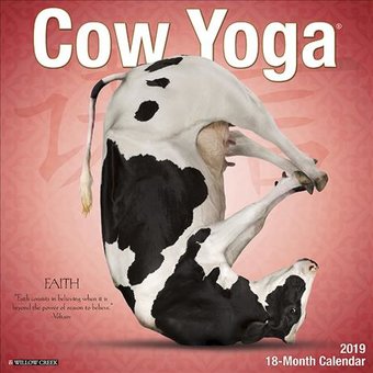 Cow Yoga - 2019 - Wall Calendar
