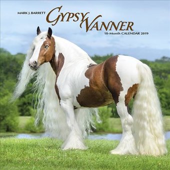 Gypsy Vanner Horse - 2019 - Wall Calendar