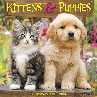 Kittens & Puppies - 2019 - Wall Calendar