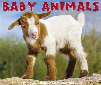 Baby Animals - 2019 - Box Calendar