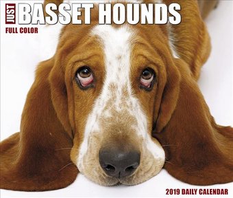 Just Basset Hounds - 2019 - Box Calendar