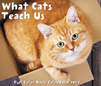 What Cats Teach Us - 2019 - Box Calendar