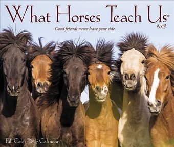 What Horses Teach Us - 2019 - Box Calendar