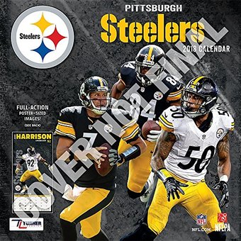 Pittsburgh Steelers - 2019 - Wall Calendar