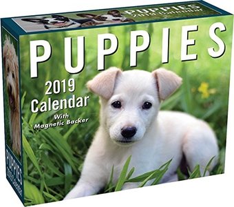 Puppies Mini Day-to-Day - 2019 - Daily Calendar