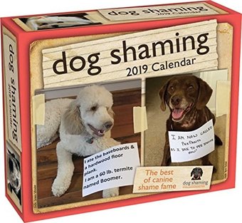 Dog Shaming Day-to-Day - 2019 - Daily Calendar