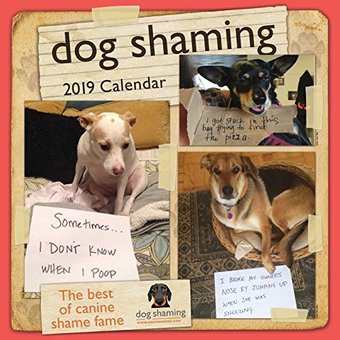Dog Shaming - 2019 - Wall Calendar