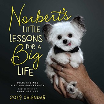 Norbert's Little Lessons for a Big Life - 2019 -