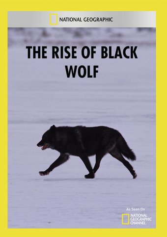 National Geographic - The Rise of Black Wolf