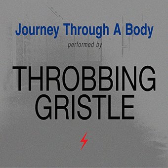 Journey Through A Body