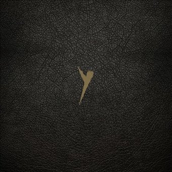 Y [Definitive Edition]